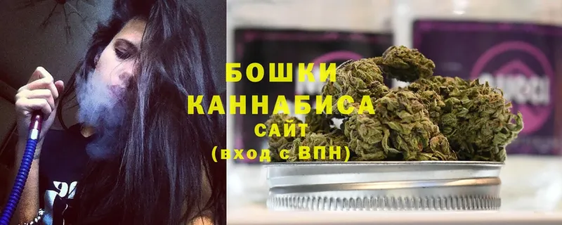 Марихуана OG Kush  купить   Волосово 